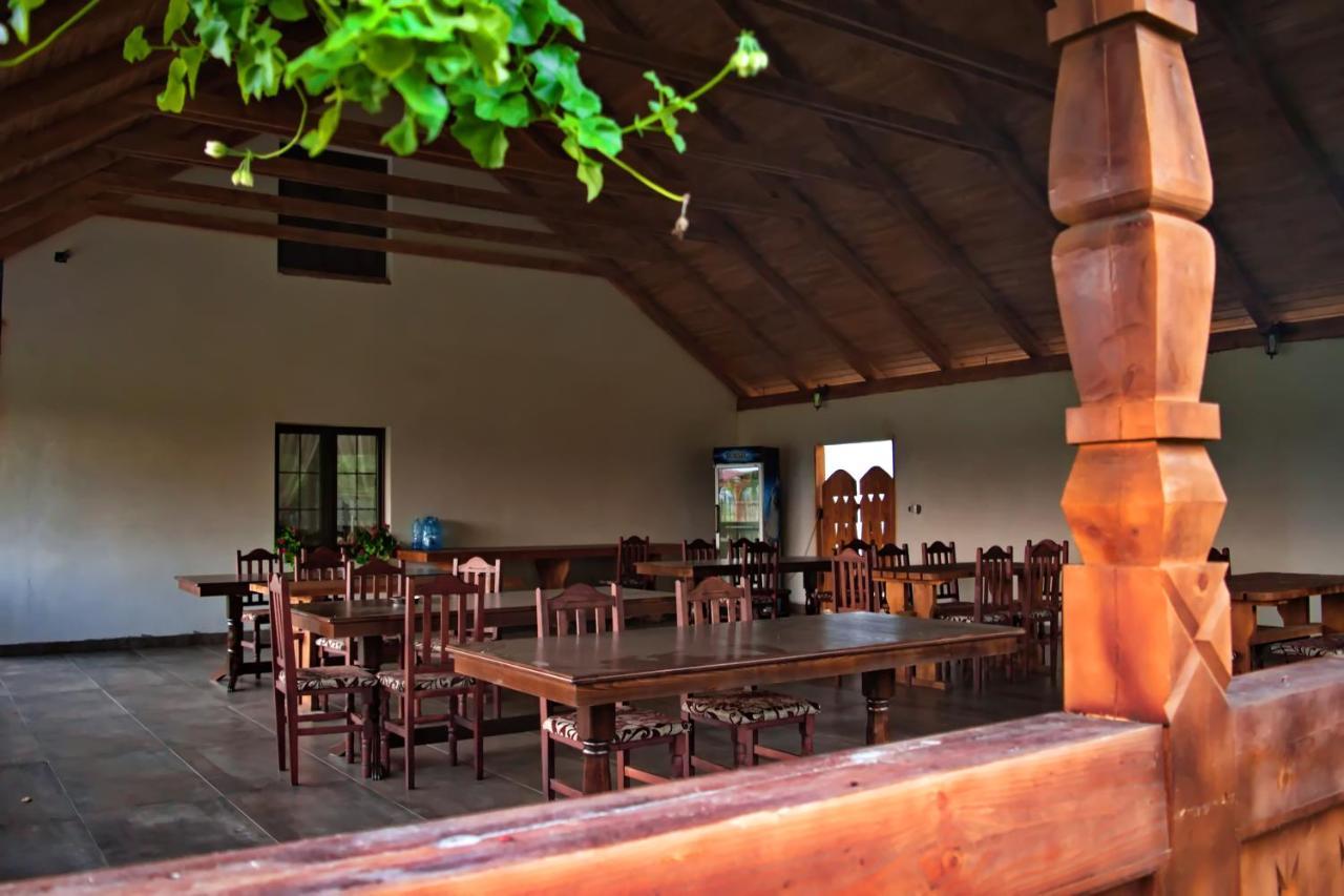 Conacul Cosaului Hotel Feresti Esterno foto