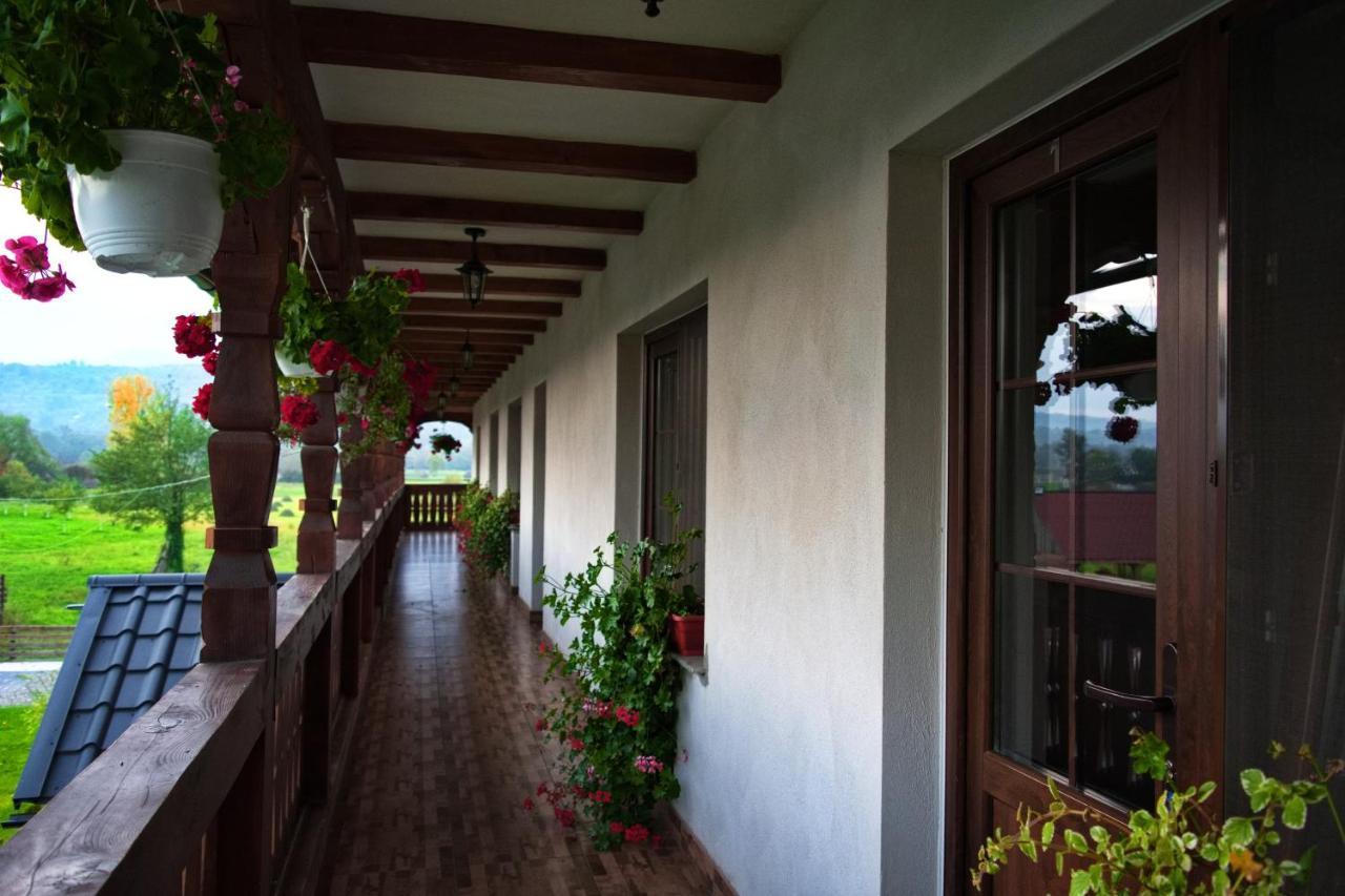 Conacul Cosaului Hotel Feresti Esterno foto